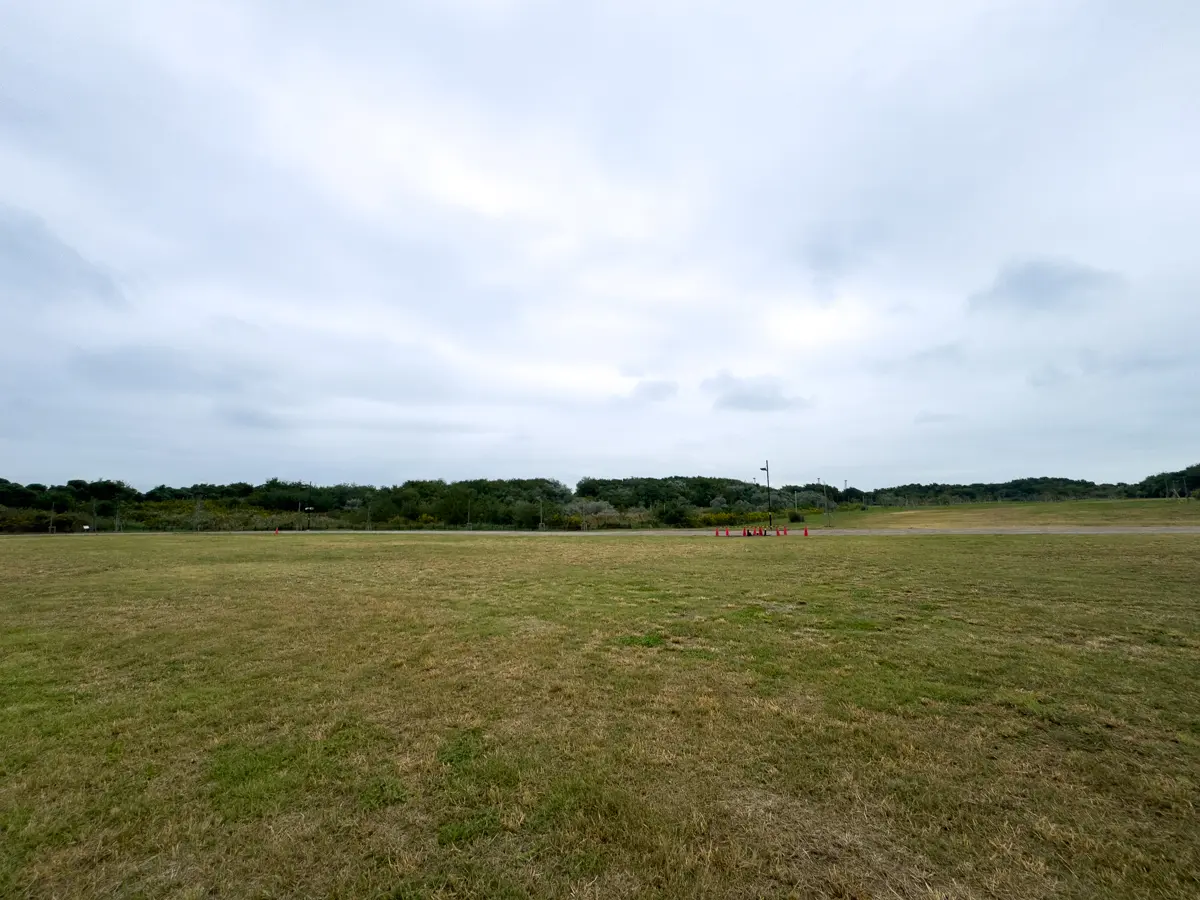 仕事で逃げ出したいので、東京23区で一番デカい公園という「海の森公園」へバスで逃げる