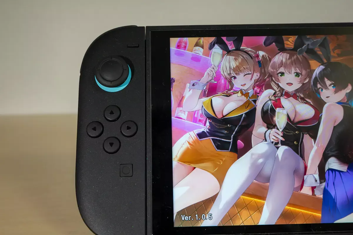 Switch 2を買ったけど、何がすごいのかわからないので「バニーガーデン」で実感したい